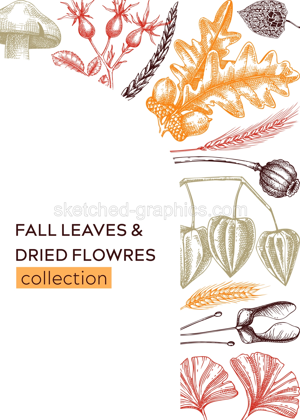 Autumn design with fall leaves and dried flowers. Thanksgiving background. Fall card or invitation. Sketched dried flowers, falling leaves, mushrooms, seeds frame. Botanical illustration in color Illustration